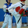 Taekwondo Lehrgang beim FVW am 28.10.2023